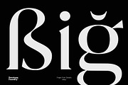 Fregio - Serif Family (10 Fonts), a Serif Font by Dora Typefoundry (Thumbnail 11 of 16)