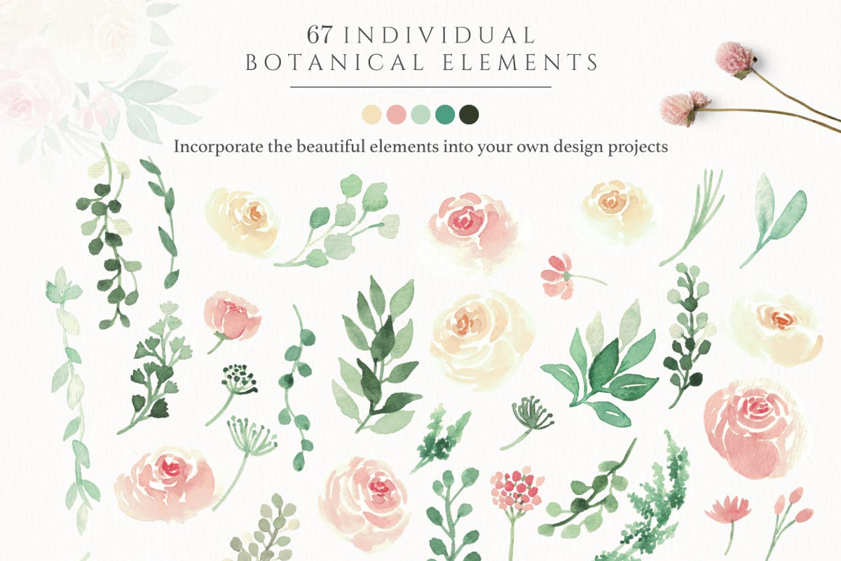 Blush Florals & Greenery Leaves, a Decorative Illustration by Momo Studio (Photo 15 of 15)