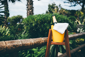 Champagne bucket in tropical garden, a Food & Drink Photo by SkyNext