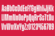 Division Grotesk Font Family, a Sans Serif Font by Asenbayu (Thumbnail 9 of 15)