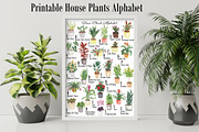 House Plants Alphabet and Clipart, a Decorative Illustration by Visual Animal (Thumbnail 2 of 6)