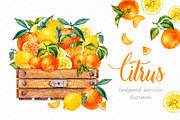 Citrus. Watercolor., a Decorative Illustration by Ekaterina Mikheeva (Thumbnail 1 of 6)