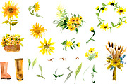 №2 Collection Watercolor Sunflowers, a Decorative Illustration by Rasveta (Thumbnail 2 of 4)