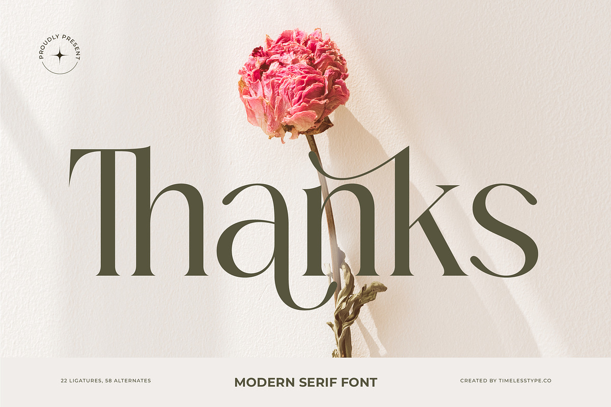 Mezaira Modern Serif Font, a Serif Font by timelesstype.co (Photo 20 of 20)
