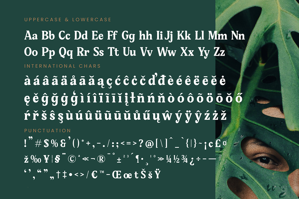 Gafjust Minfine Modern Serif, a Serif Font by timelesstype.co (Photo 18 of 20)