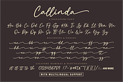 Callinda a Signature Font, a Script Font by Vilogsign (Thumbnail 7 of 8)