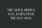 Praise Elegant Stylish Font, a Serif Font by Typebae (Thumbnail 10 of 12)