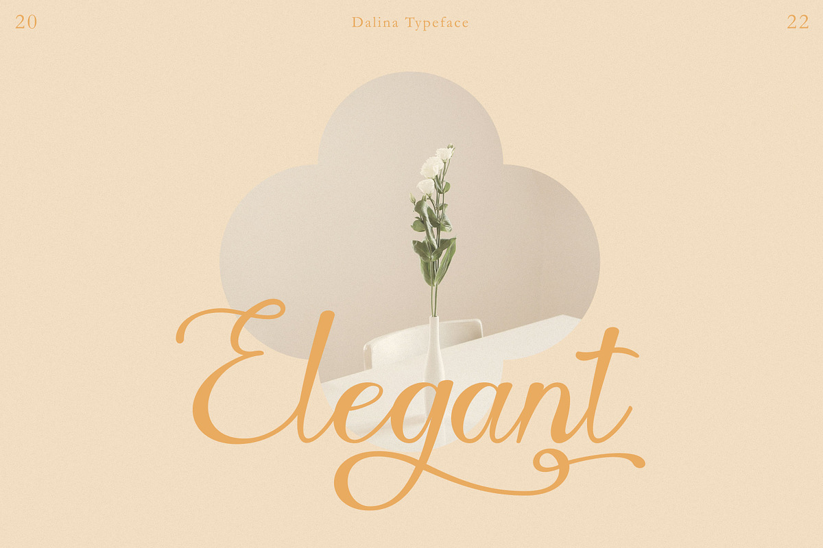 Javin, a Script Font by Flawless And Co (Photo 5 of 11)