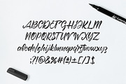 Beerlogoff. Latin and Cyrillic Font., a Script Font by DenBrush Studio (Thumbnail 2 of 7)