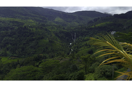 Scenic view of tropical mountain, a Nature Photo by Media Whale Stock