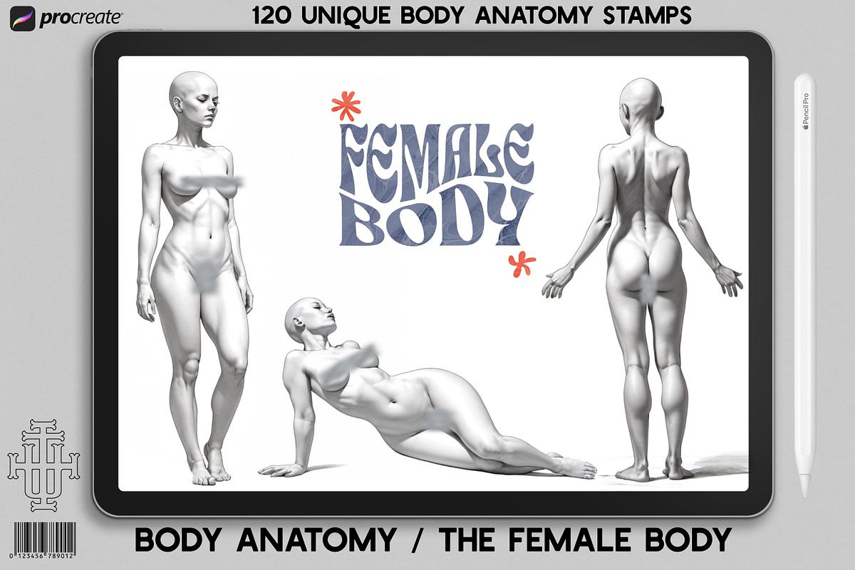 Procreate, The female body, a Brush Add-On by Studio.Valhalla (Photo 1 of 5)