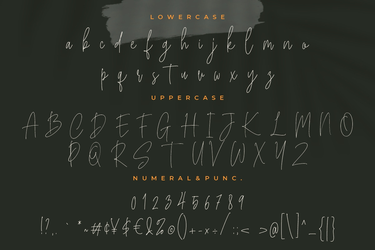 Bucherry Monoline Script, a Script Font by Creatype Studio (Photo 8 of 9)
