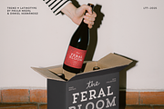 Trend, a Sans Serif Font by Latinotype (Thumbnail 3 of 10)
