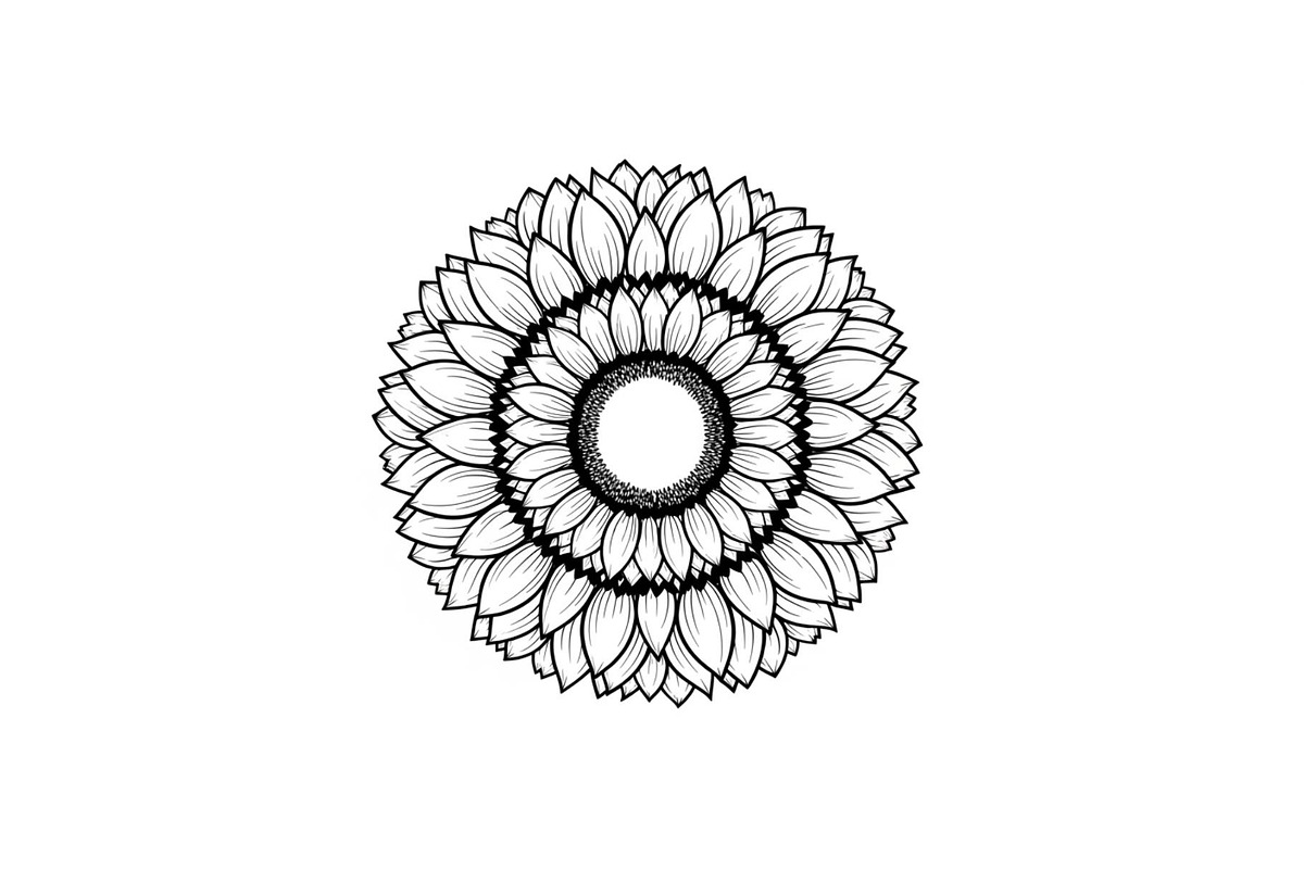 Floral Mandala Circle Frame Bundle, an Illustration by Gaye Art (Photo 3 of 51)