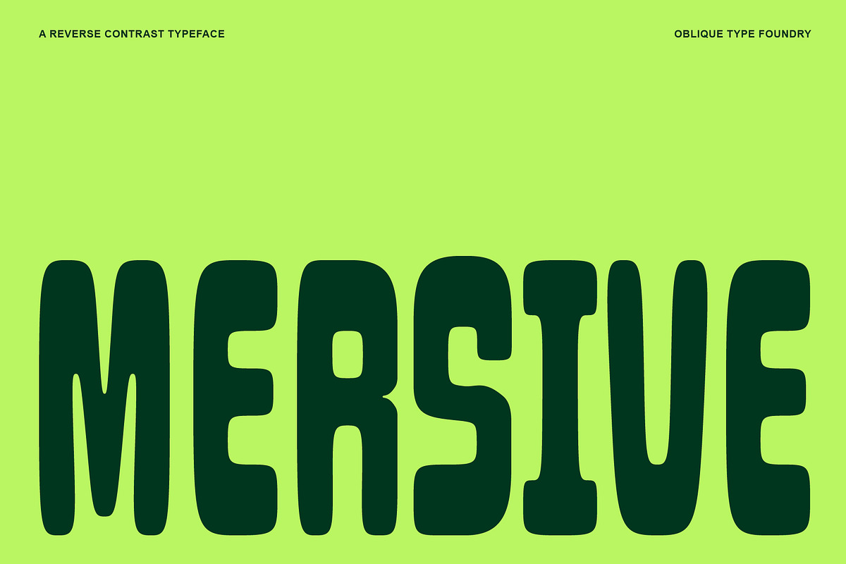 Oblq Mersive, a Sans Serif Font by Oblique Foundry (Photo 2 of 11)