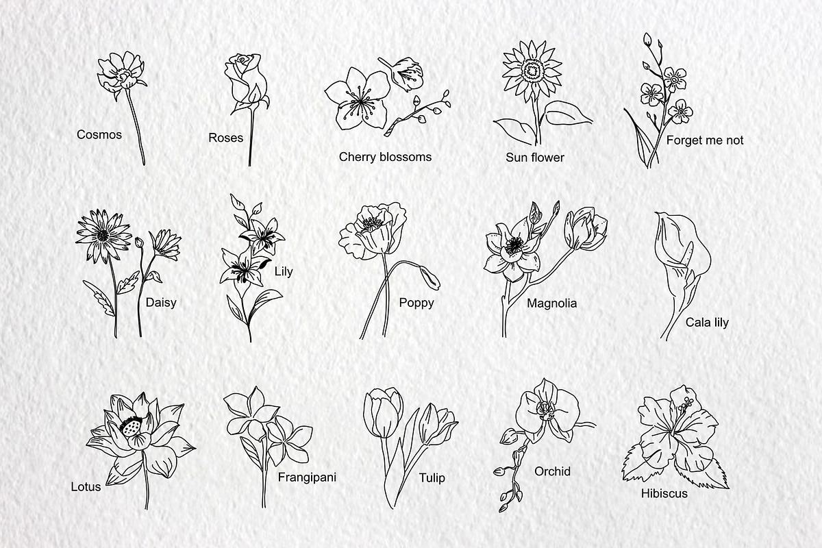 Flowers, an Illustration by AMMi (Photo 2 of 5)