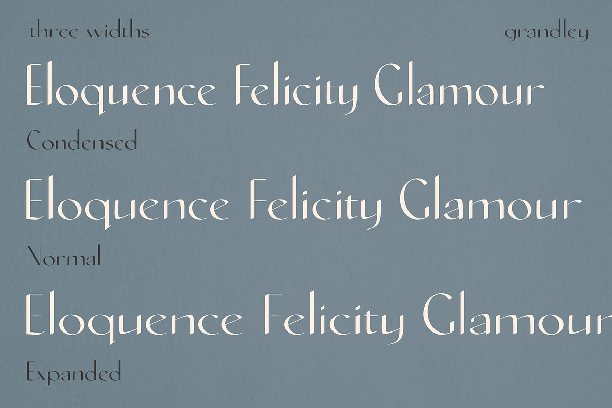 Grandley Sans Serif Font, a Font by Evoke Type Studio (Photo 4 of 15)