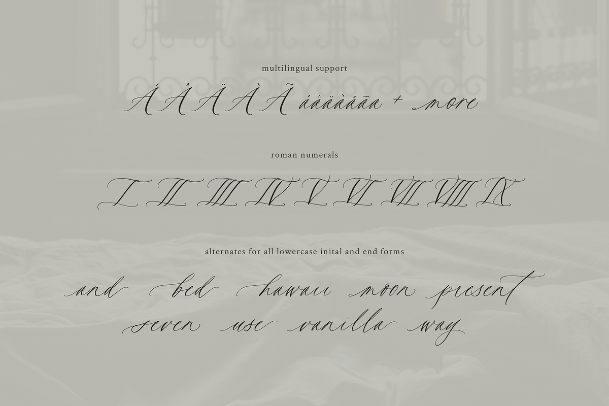 Deuxieme Script Font, a Script Font by Courtney Rose Design (Photo 6 of 14)