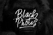 Fuster Brush, a Script Font by Eltypesstudio (Thumbnail 2 of 12)