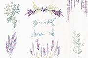Lavender Farm Graphic Set - Clip Art, an Illustration by DESIGN SPLY (Thumbnail 5 of 5)