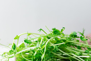 Fresh pea microgreens on a waffle ki, a Food & Drink Photo by Edalin's Store