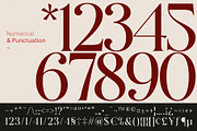 Jango Modern Serif Font, a Serif Font by Vampstudio (Thumbnail 12 of 12)