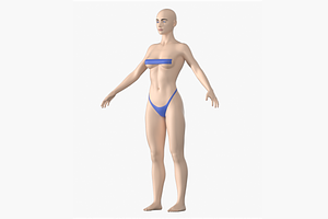 Natural Female 01 A-Pose Base Mesh