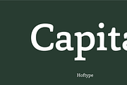 Capita, a Serif Font by Hoftype (Thumbnail 1 of 15)