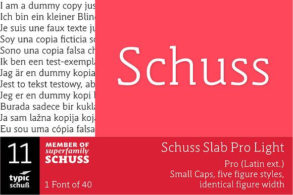 SchussSlabProLight No.11 (1 Font) preview 6