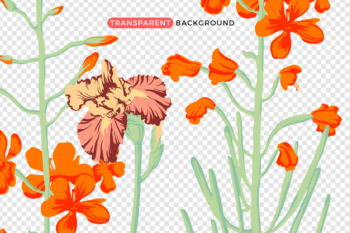 Irises Flower Set, an Object Illustration by Volga_Store (Photo 5 of 6)