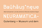 TG Hagia, a Serif Font by Tegamitype (Thumbnail 10 of 14)