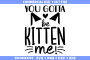 Cat SVG Bundle 20 Designs, an Illustration by ZoomkSVG (Thumbnail 3 of 42)