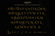 Gron, a Serif Font by Larin Type Co. (Thumbnail 12 of 12)