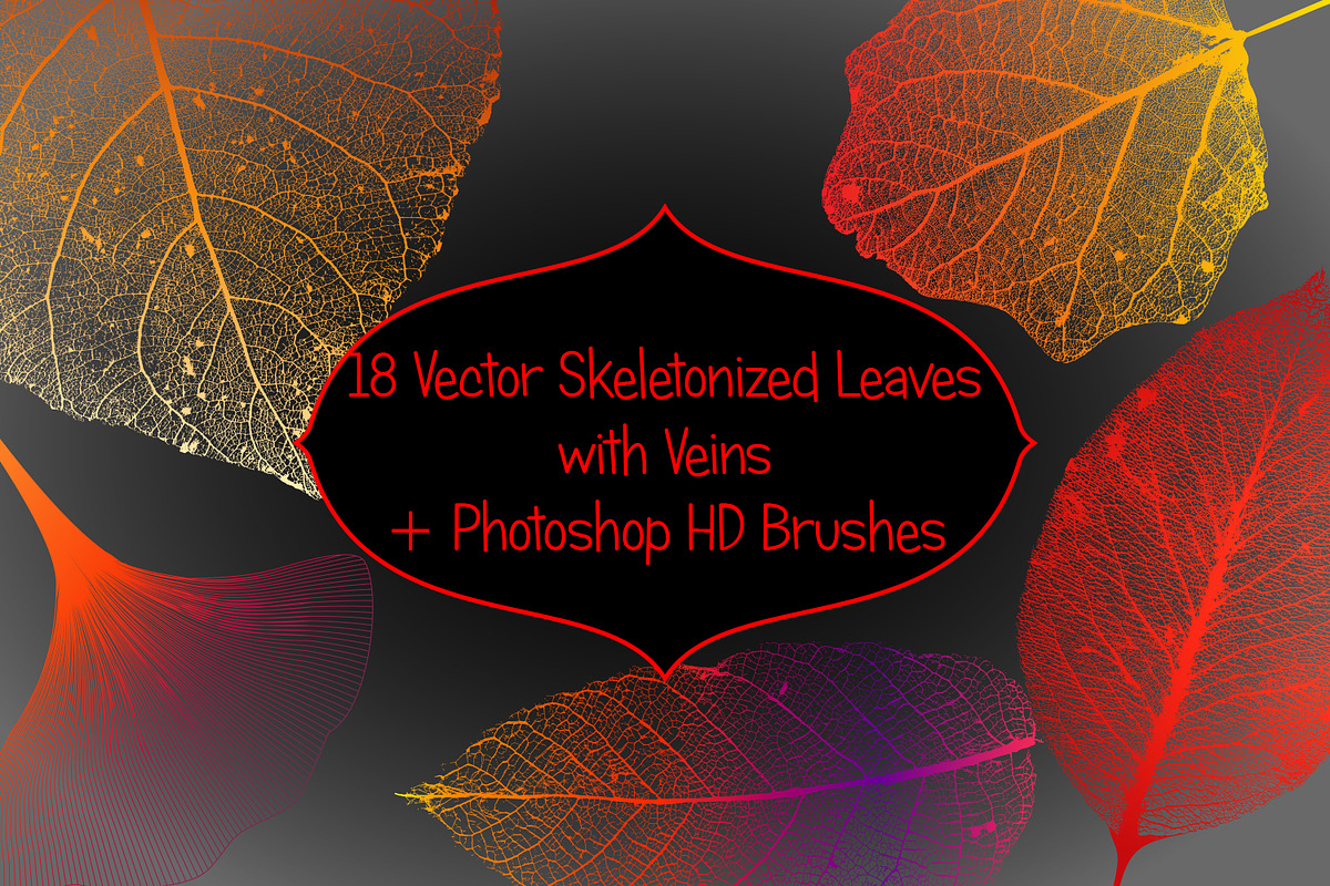 Leaf Structure Skeletons, a Brush Add-On by Kseniya-Omega (Photo 1 of 7)