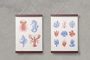 Undersea World - vector &png, an Animal Illustration by Anatartan Design (Thumbnail 12 of 13)