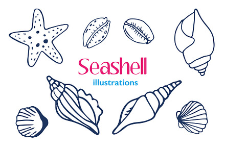 Seashell Illustrations