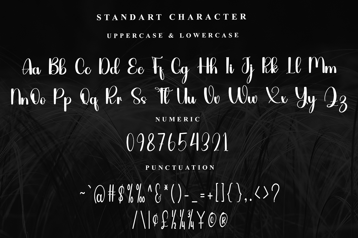 Wedding, a Handwritten Font by FreshTypeINK (Photo 5 of 7)