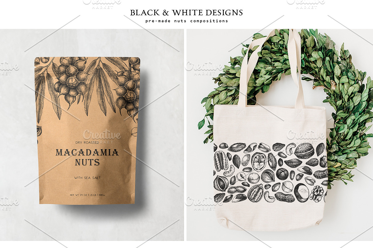 Nuts Hand-Drawn Vector Illustrations, a Food Illustration by Yevheniia (Photo 10 of 15)