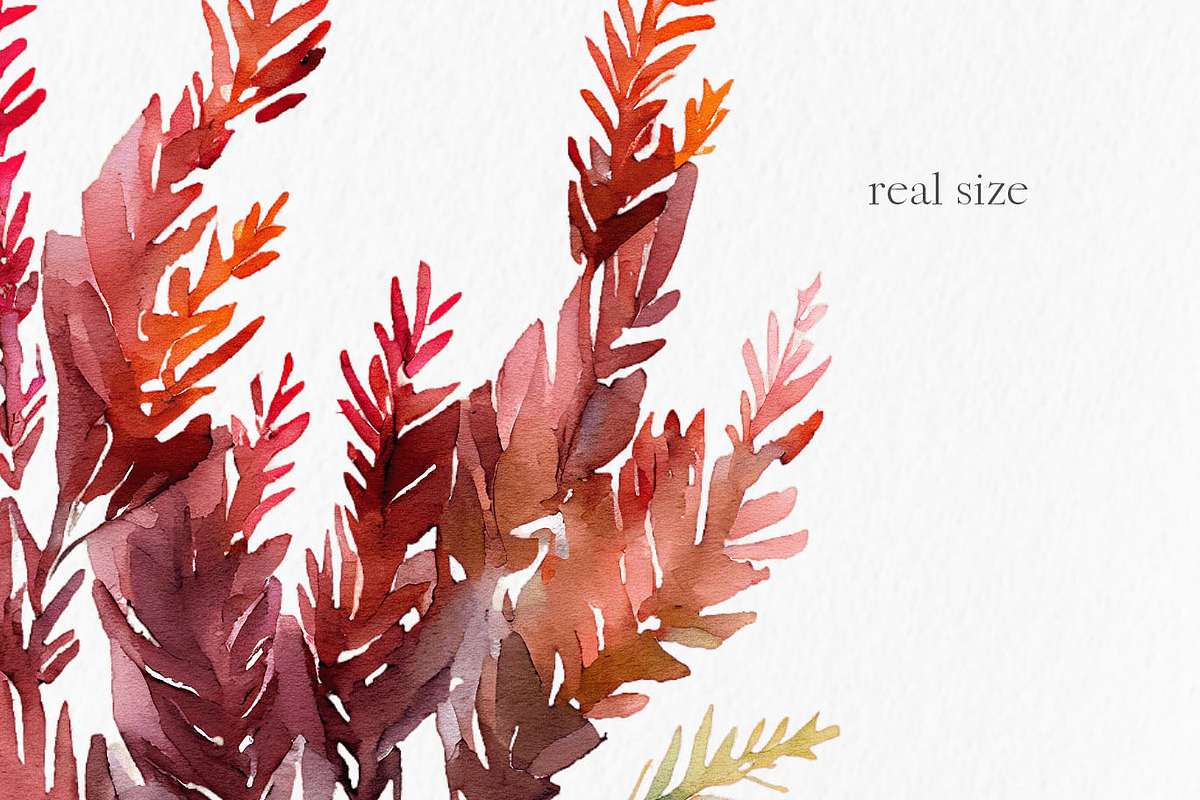 Autumn floral Watercolor Clipart PNG, an Object Graphic by MyLittleMeow (Photo 4 of 5)