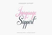 Ornatique script - 4 fonts, a Script Font by VP Fonts (Thumbnail 10 of 15)