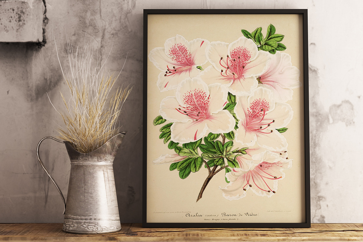 Vintage floral illustration painted, a Decorative Illustration by My watercolor shop