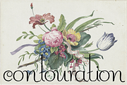 Contouration, a Serif Font by Intellecta Design (Thumbnail 1 of 5)