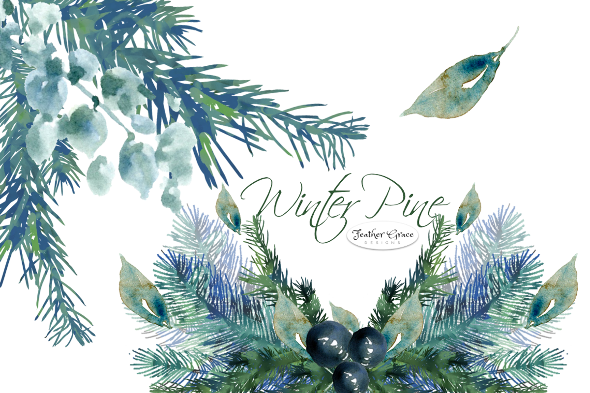 Pine Branches & Wreaths, an Illustration by Feather Grace Designs (Photo 4 of 13)