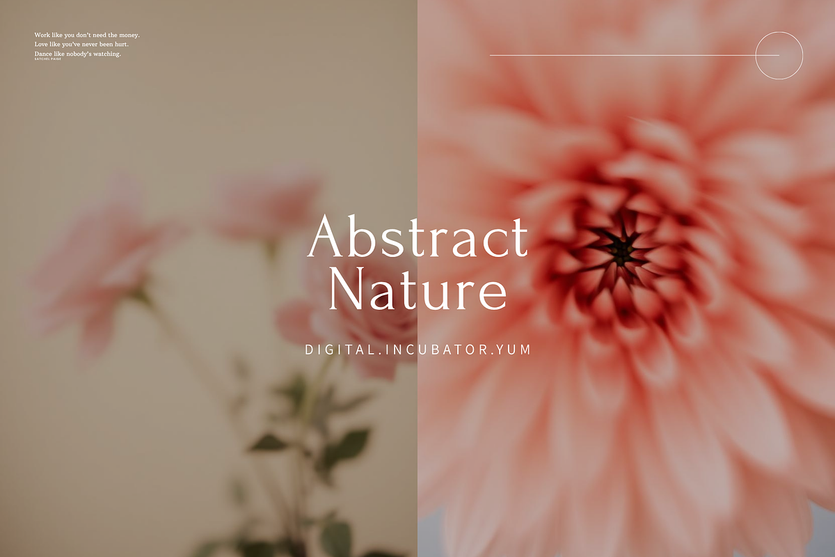 Blurry Nature Backgrounds VOL3, a Background Graphic by digital.incubator.yum (Photo 1 of 11)
