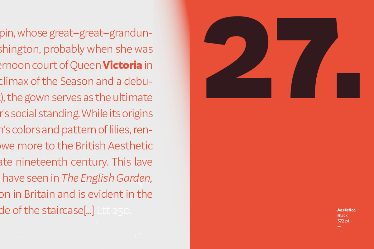 Aestetico, a Sans Serif Font by Latinotype (Photo 6 of 15)