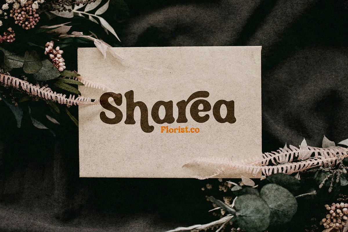 Qairen Modern Retro Serif Font, a Serif Font by Storytype Studio (Photo 8 of 15)