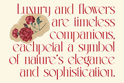 Lermith - Tall Luxury Serif Font, a Serif Font by timelesstype.co (Thumbnail 14 of 20)