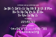Birthday, a Script Font by FreshTypeINK (Thumbnail 7 of 8)