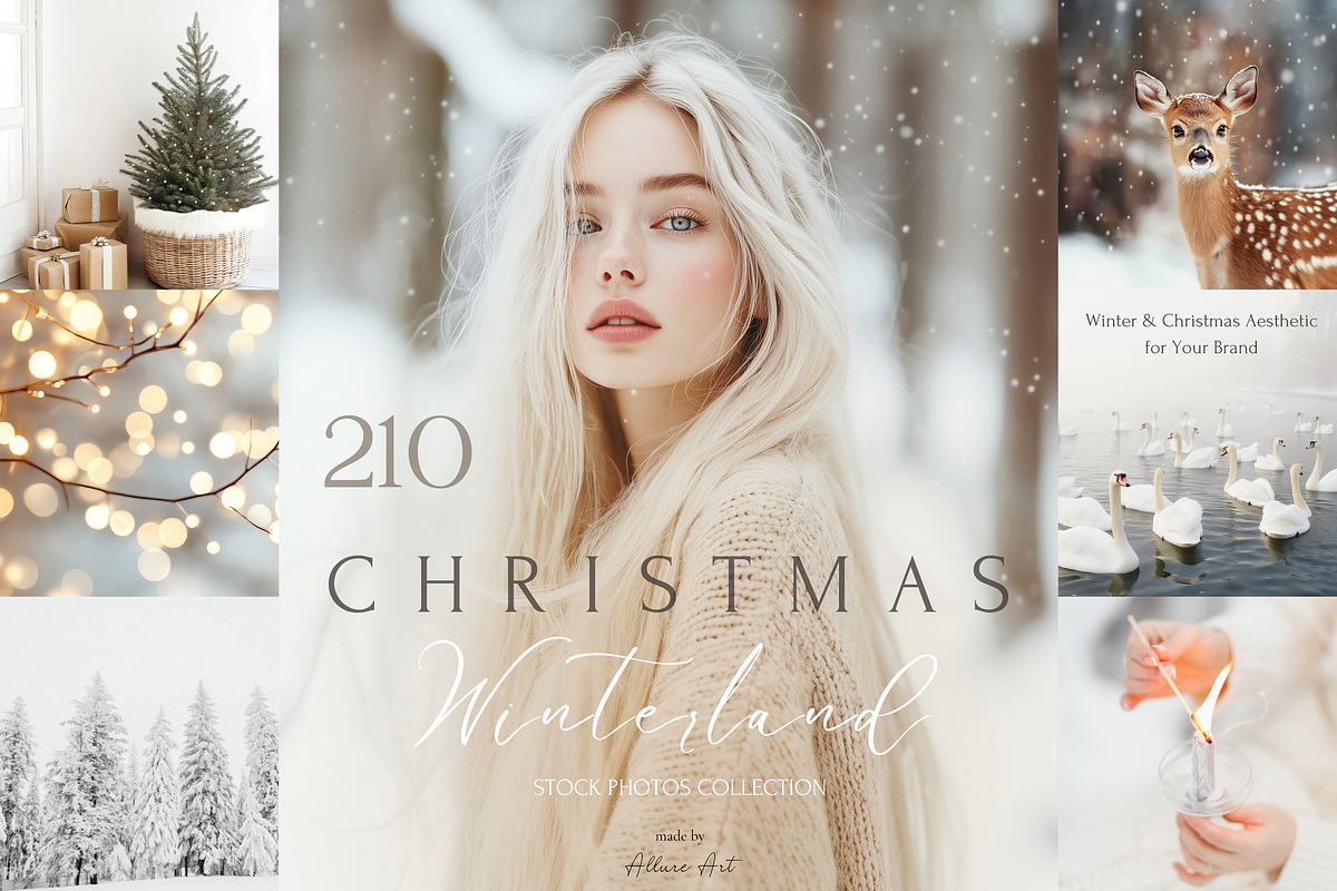 210 Christmas Winter Stock Photos, a Holiday Photo by Allure Art (Photo 1 of 38)