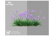 81 Farm Plants Photo Overlays, a Nature Photo by KenScape (Thumbnail 2 of 4)